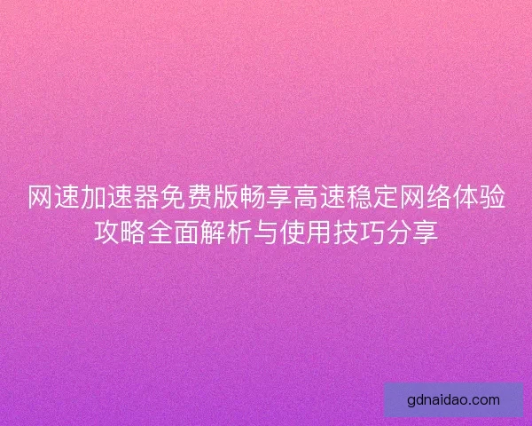 网速加速器免费版畅享高速稳定网络体验攻略全面解析与使用技巧分享