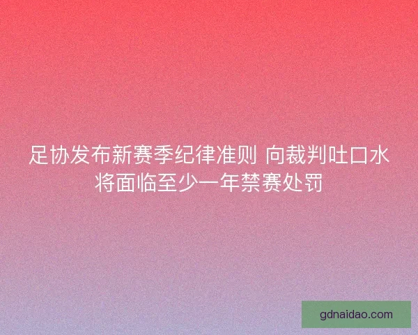 足协发布新赛季纪律准则 向裁判吐口水将面临至少一年禁赛处罚